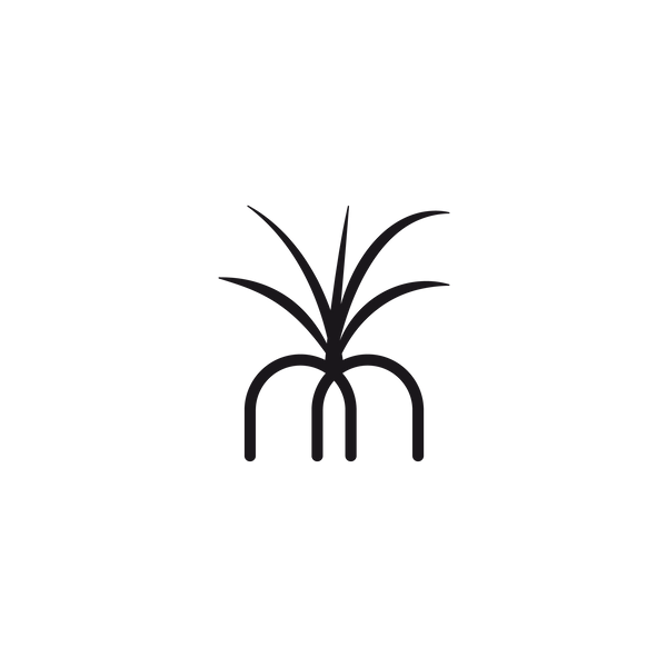 maisoncinq
